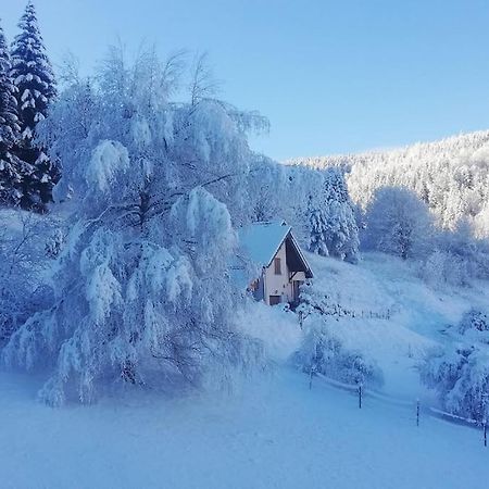 Studio Chaleureux A Villard De Lans Zewnętrze zdjęcie