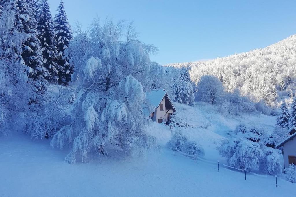 Studio Chaleureux A Villard De Lans Zewnętrze zdjęcie
